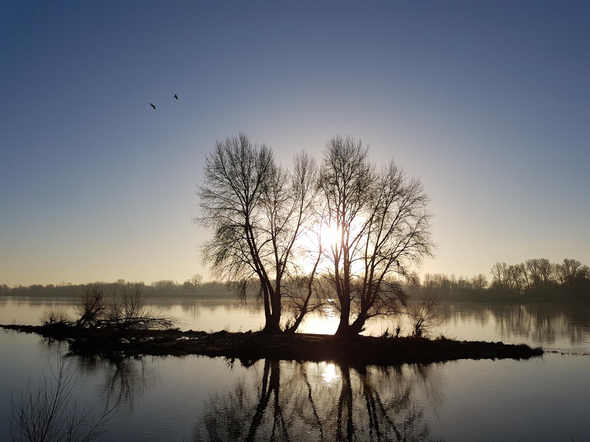 La Loire à l'aube